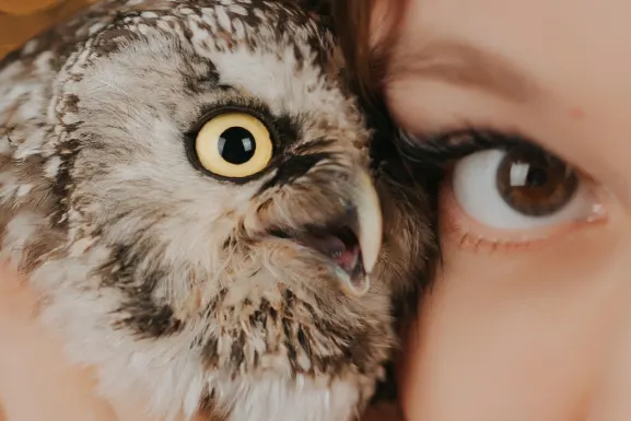 Lottomart Kasino Podpora